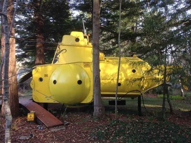 В новозеландском лесу выросла собственная Yellow Submarine В новозеландском лесу выросла собственная Yellow Submarine