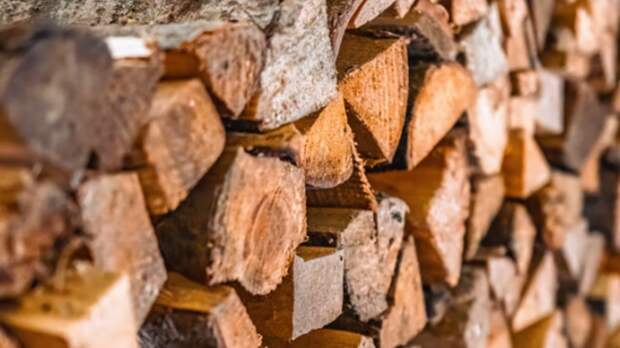 В Германии начали воровать дрова из-за их подорожания