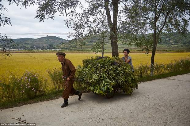 Как живет золотая молодежь в самой закрытой стране мира — Северной Корее