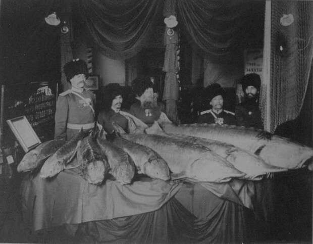 Знатный улов с нижнего течения реки Яик (Урал), конец XIX века россия, рыбаки, фото