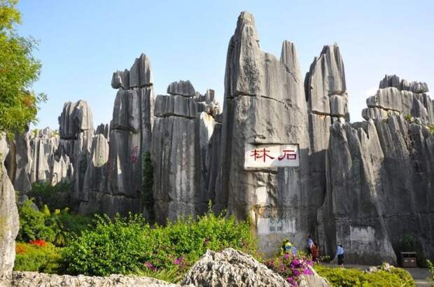 Чудеса света: Каменный лес Шилинь в Китае