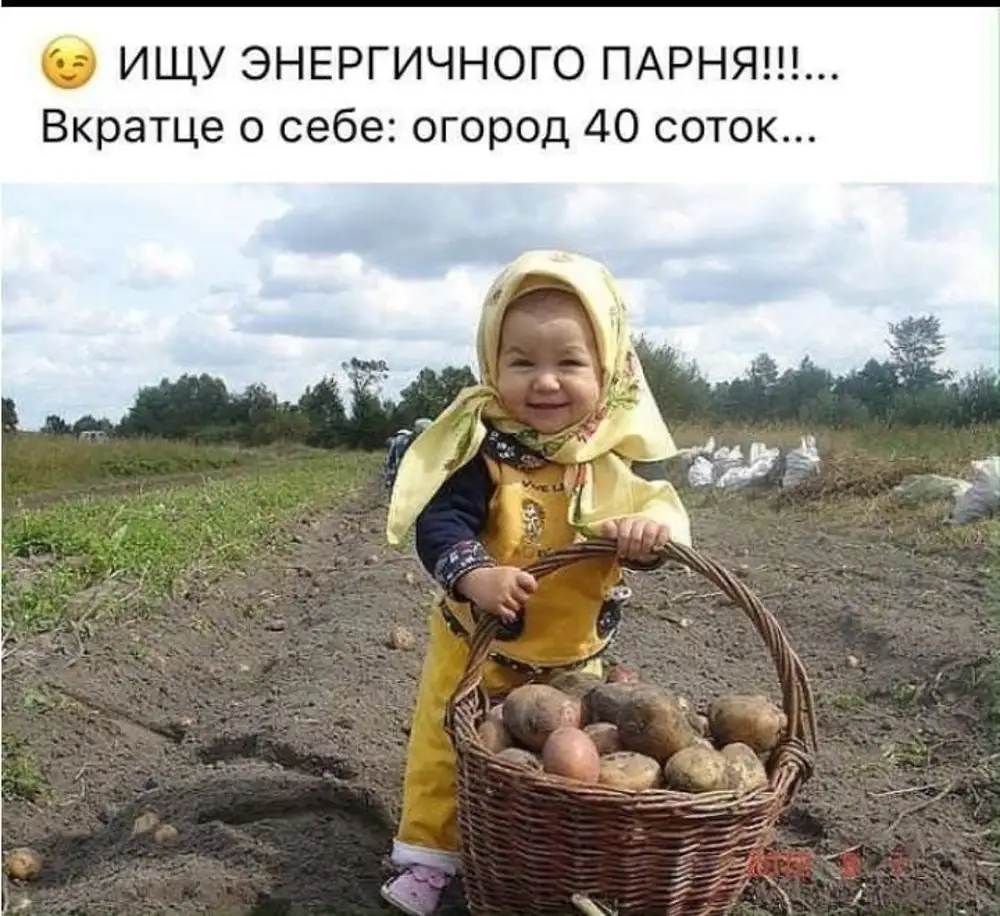 Шутки про урожай