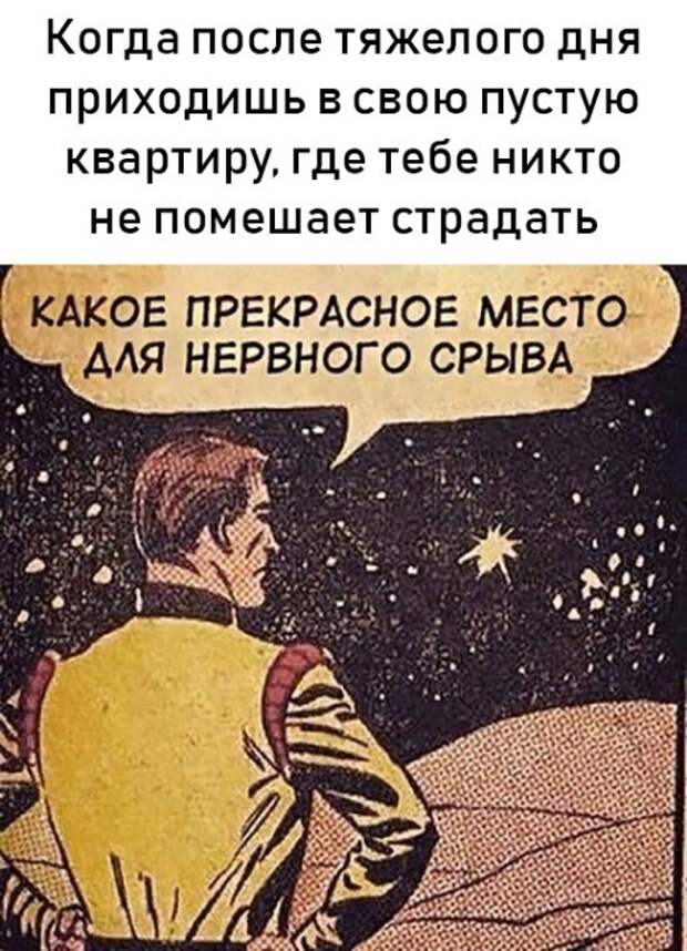 Нервный срыв картинки смешные