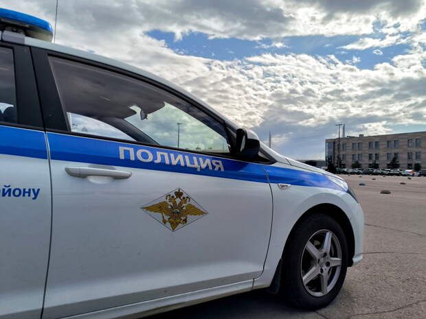 Полиция Петербурга ловила мошенников по всей России
