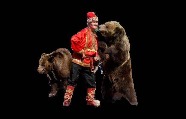 Дрессированные медведи