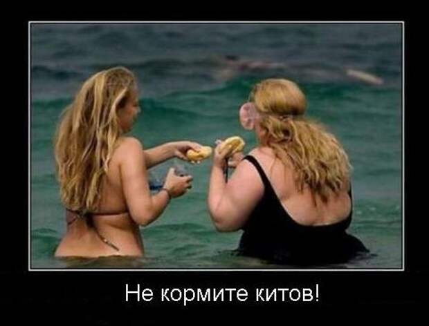 Свежие и зачетные демотиваторы, которые поднимут настроение (10 фото)