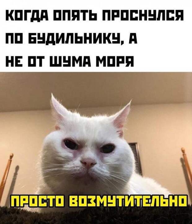 15 абсолютно свежих картинок с надписями пятницы