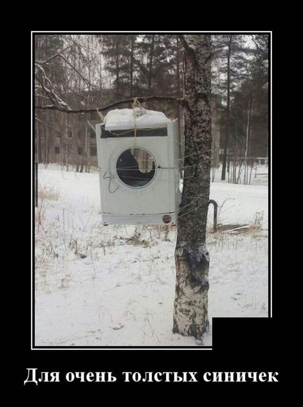 demotivatory-demotivator-smeshnye-demotivatory-demotivator-so-smyslom