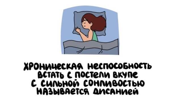 Короткие интересные факты обо всем