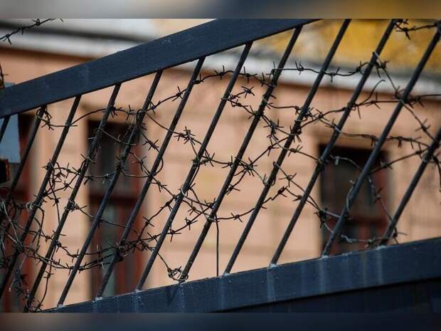 В Улан-Удэ начинается подготовка к строительству «суперколонии» на 3 тысячи мест