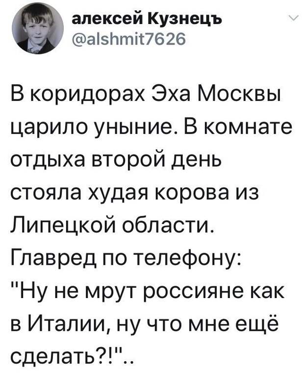 Политические комментарии из инета