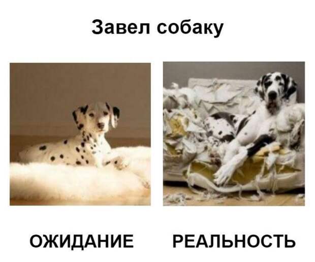 Ожидание и реальность