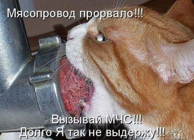 Всяко - разно 19 ))) Всяко - разно 19 )))