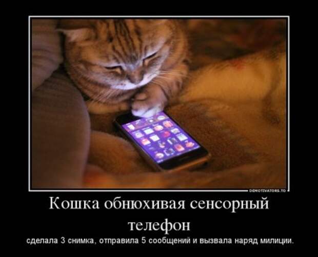 Немотивированные демотиваторы.