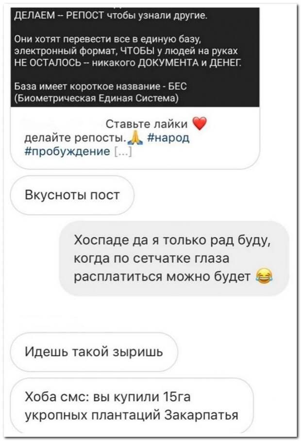 setey-socialnyh-kommentarii-citaty-vkontakte-vkontakte-smeshnye-statusy