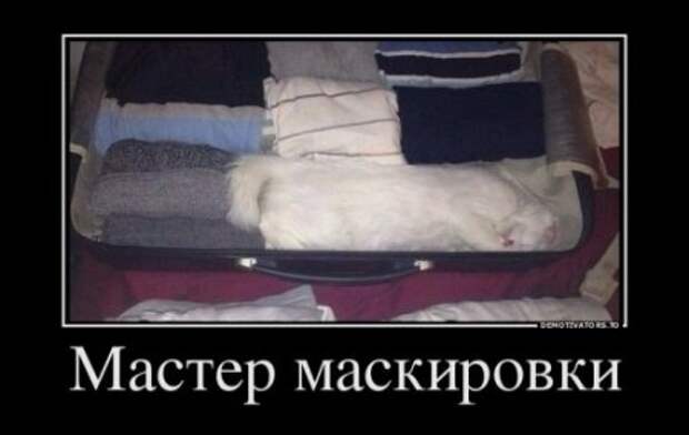 Прикольные демотиваторы, будет весело.
