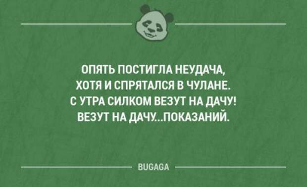 Забавные фразы в картинках с надписями. Часть 38 (20 шт)