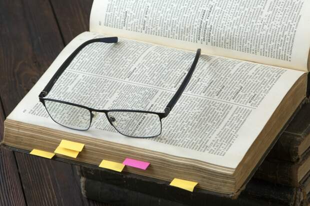 Россиянам напомнили забытое значение слова «живот»