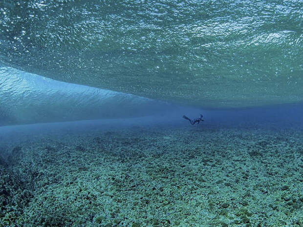 Лучшие фотографии National Geographic апреля 2014