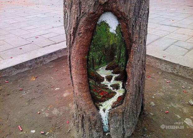 Удивительные картины на стволах деревьев
