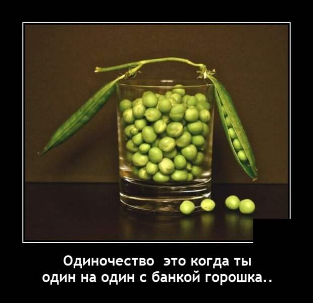 Демотиваторы 29 декабря 2021 года
