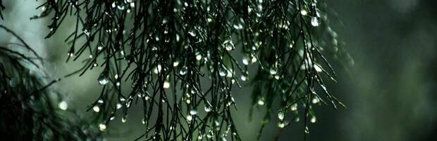 Ночной дождь и ветер: погода в Алматы на 9 марта