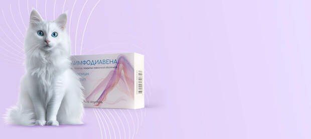 Напитки для поддержки здоровья вен