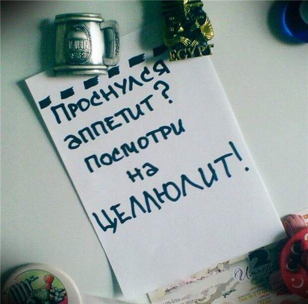 Самые смешные и неожиданные записки на холодильнике Самые смешные и неожиданные записки на холодильнике