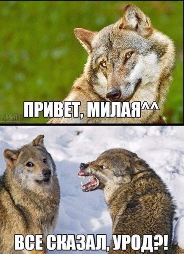 Позитивный пост+38