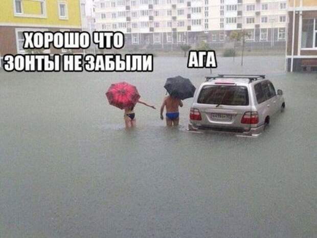 Прикольные картинки понедельника (31 шт)