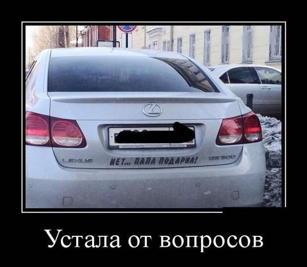 Устала от вопросов демотиватор, демотиваторы, жизненно, картинки, подборка, прикол, смех, юмор