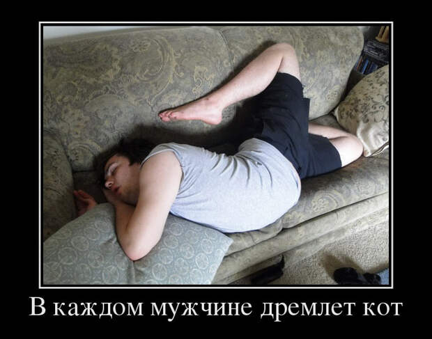 Разные демотиваторы