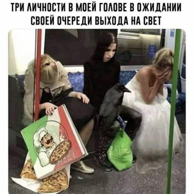 23 женских прикола. Весёлое настроение на несколько дней!