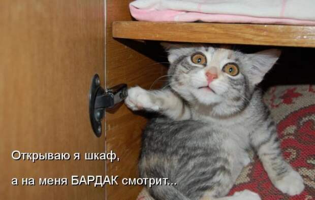 Мысли вслух :)