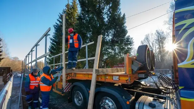 Главную новогоднюю ель России доставили в Кремль