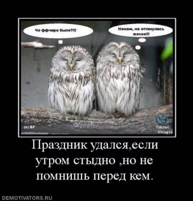 ZDdL496LaYzjCn6Oa (400x418, 108Kb)