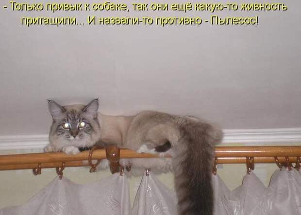 Мысли вслух :)