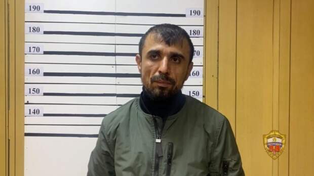 Безработный украл телефон у девушки в московском метро