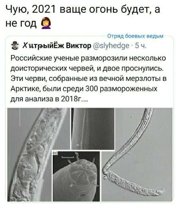 Политические комментарии из инета