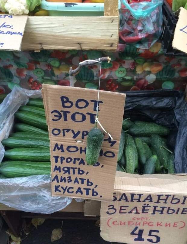 mycdn.me