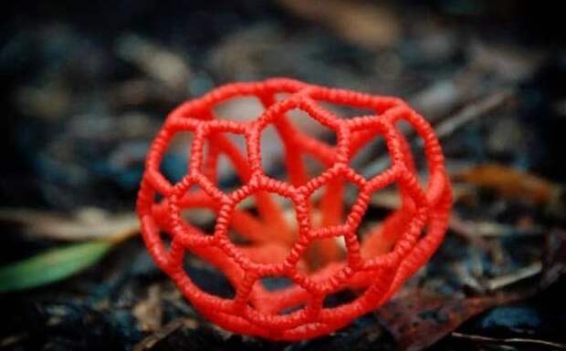 15. Решеточник красный / Clathrus ruber грибы, факты, это интересно