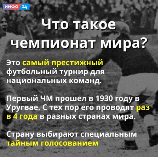 Как устроен чемпионат мира по футболу Как устроен чемпионат мира по футболу