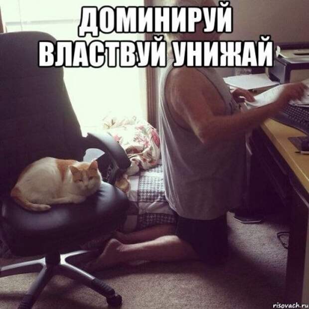original (500x500, 49Kb)