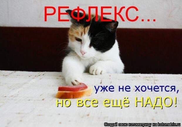 Мысли в слух :)