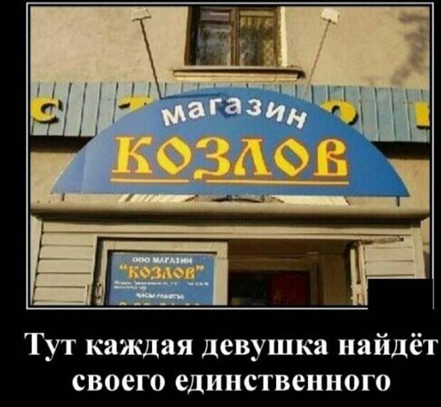 Подборка доброго фото:"магазин Козлов" - уж вы меня простите!