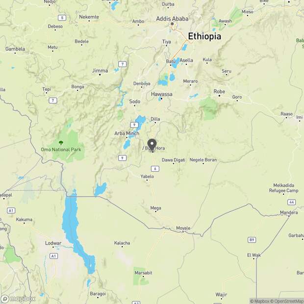 3 сотрудника службы безопасности президента Эфиопии погибли в результате атаки повстанцев в районе Буле-Хора