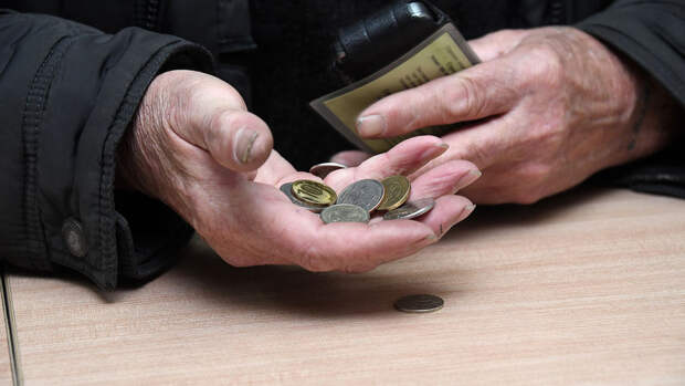 Депутат Нилов: МРОТ в России должен вырасти до 35 тыс. рублей к 2030 году