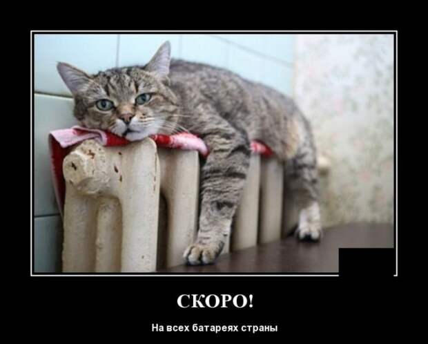 Демотиваторы (20 фото)
