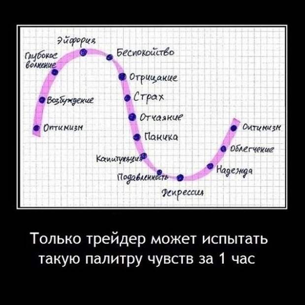 Демотиваторы (30 фото)