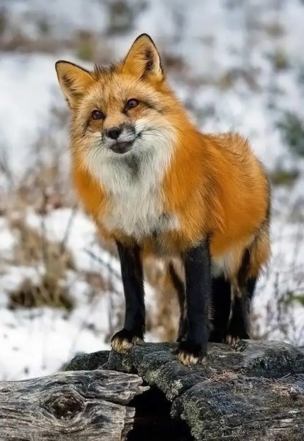       !